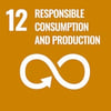 12-responsible-consumption-and-production